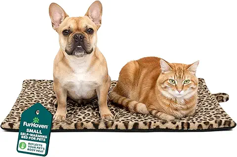 How to Choose a Dog Bed – 3 Types Compared