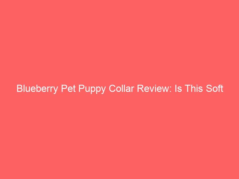 Soft fleece puppy collar in blue for small dogs, ideal for training and comfort.