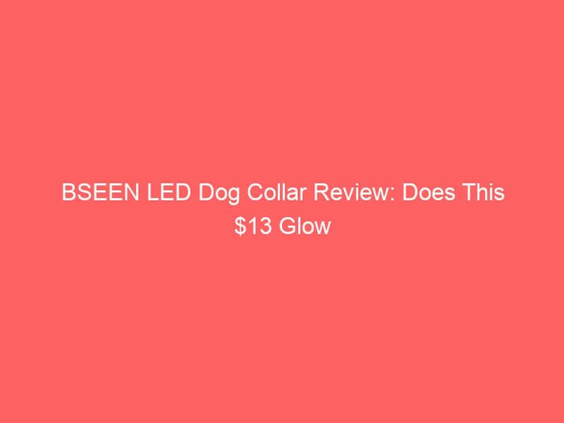 LED dog collar for night safety and visibility.