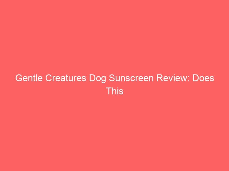 Dog sunscreen lotion protecting pets from sun with gentle ingredients.