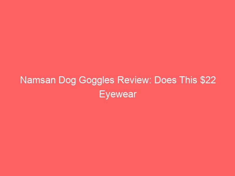 Namsan dog goggles protecting pup's eyes during outdoor activities.