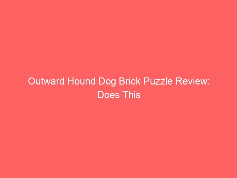 Outward Hound dog brick puzzle toy for mental stimulation and interactive play.