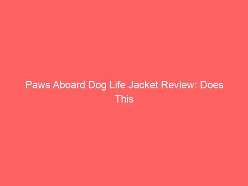 Paws Aboard dog life jacket designed for safety during water activities.