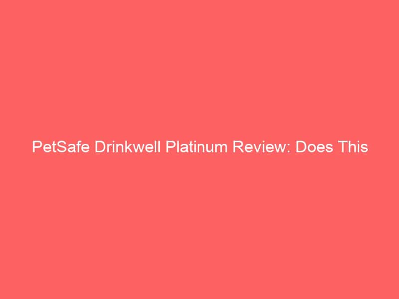 PetSafe Drinkwell Platinum dog water fountain for hydration.