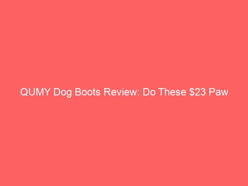 QUMY dog boots protecting paws during trail hikes, durable and comfortable.