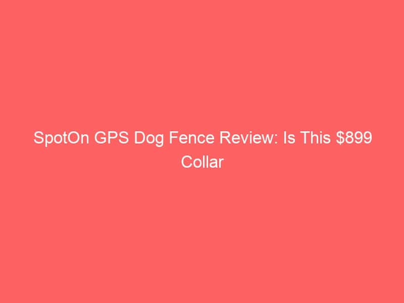 SpotOn GPS dog fence collar for boundary training and safety.