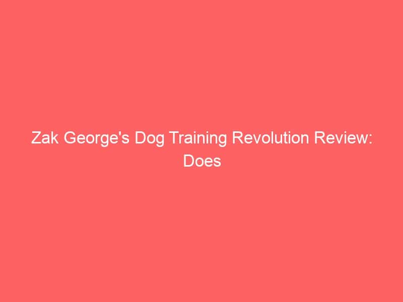 Essential dog training tools for puppies from Zak George's book review.